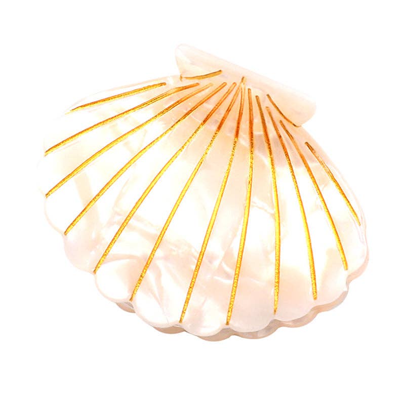 Colorful Shell  Claw Claw