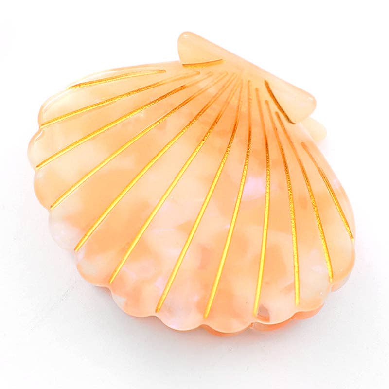 Colorful Shell  Claw Claw