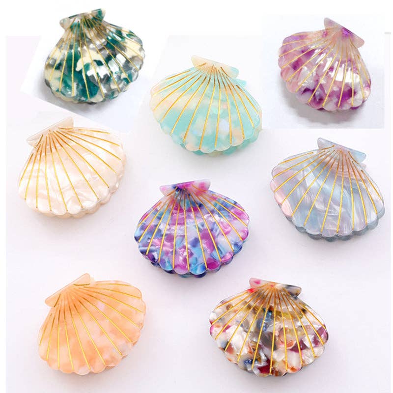 Colorful Shell  Claw Claw
