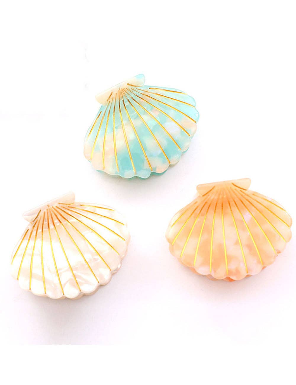 Colorful Shell  Claw Claw